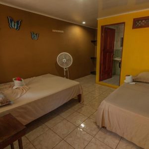 Hotel El Icaco Triple Room + Tours