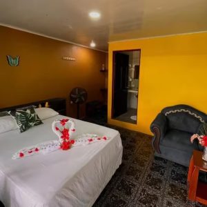 hotel el icaco